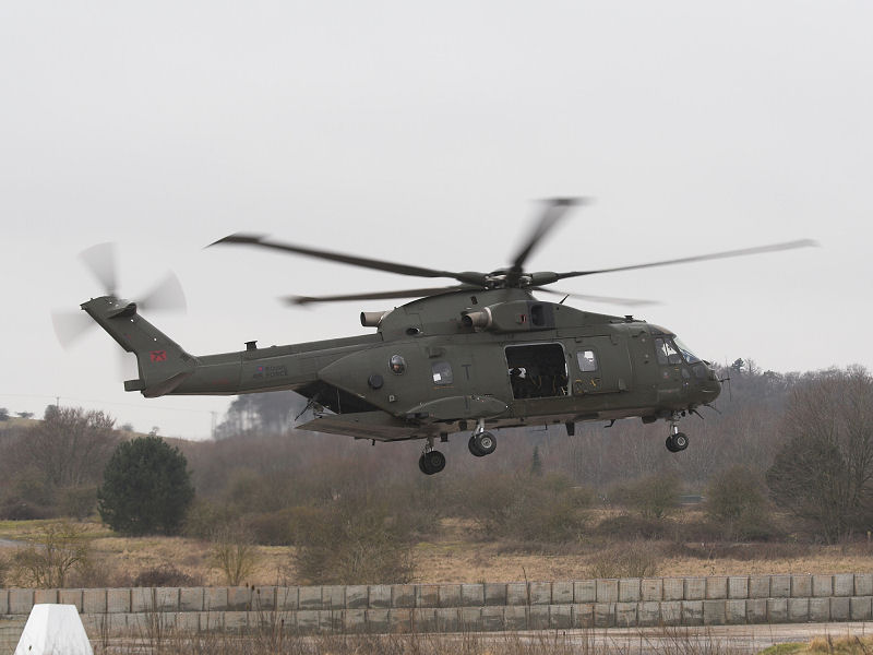 merlinhc3092.jpg