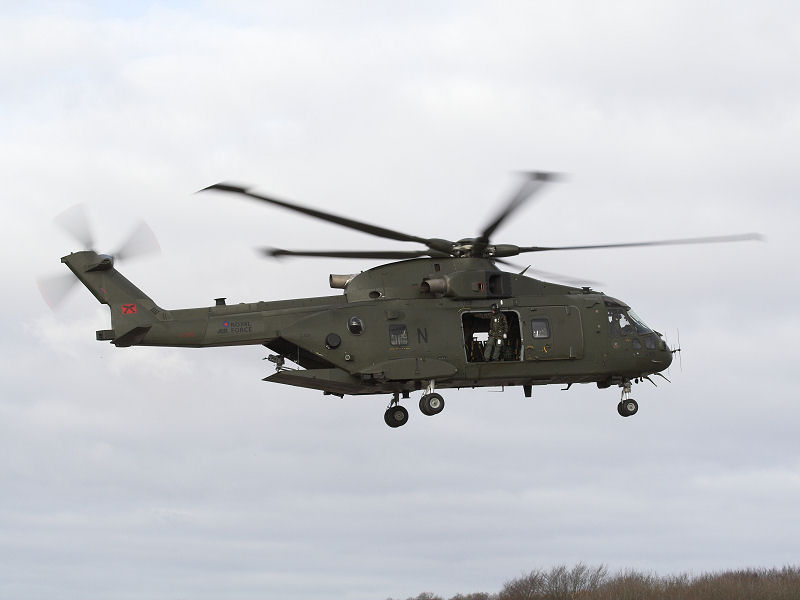 merlinhc3098.jpg