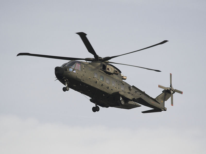 merlinhc3a091.jpg